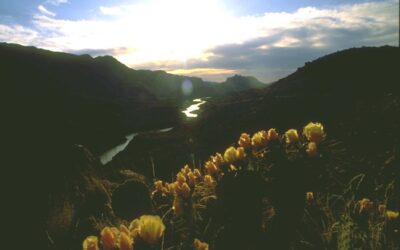 Colorado Canyon