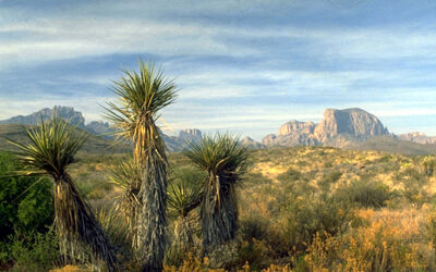 Ross Maxwell Scenic Drive
