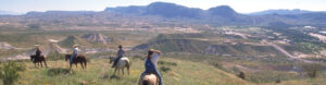 Visit Big Bend