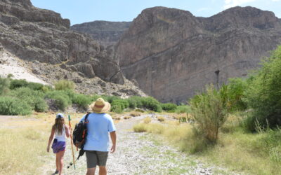 Cool it Big Bend style