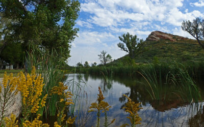 Big Bend’s Oasis at Post Park in Marathon, TX