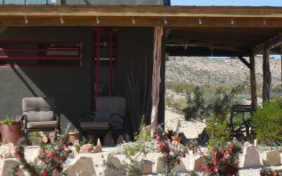 Tiny Terlingua