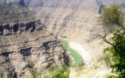 Big Bend River Tours