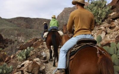 Big Bend Stables