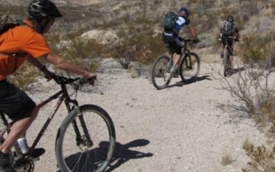 Desert Sports