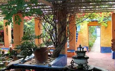Eve’s Garden Bed and Breakfast