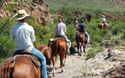 Lajitas Stables