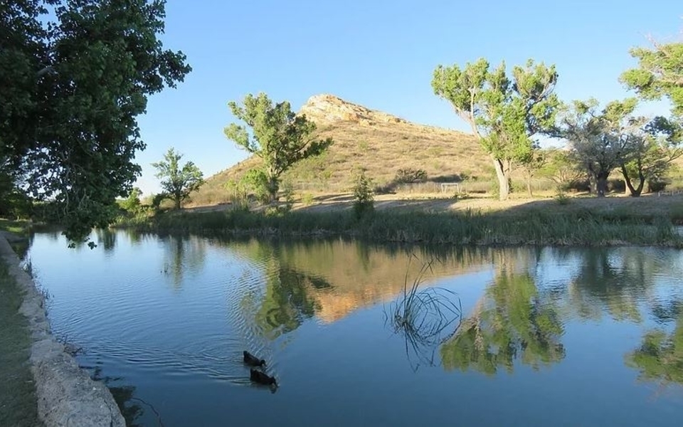 pena-colorado